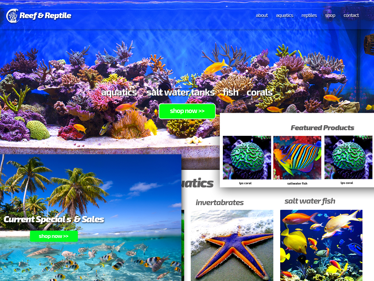 Wordpress Web Designer Carlsbad, San Diego